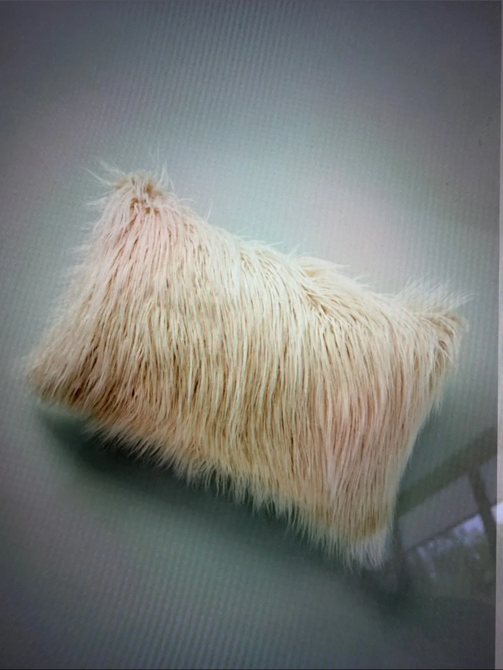 ISO: Anthropologie Shaggy Faux Fur pillows In search of!